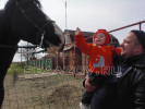 Казачьи забавы, кони